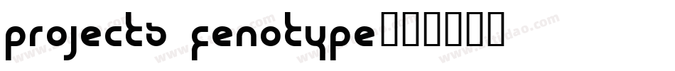 projects fenotype字体转换